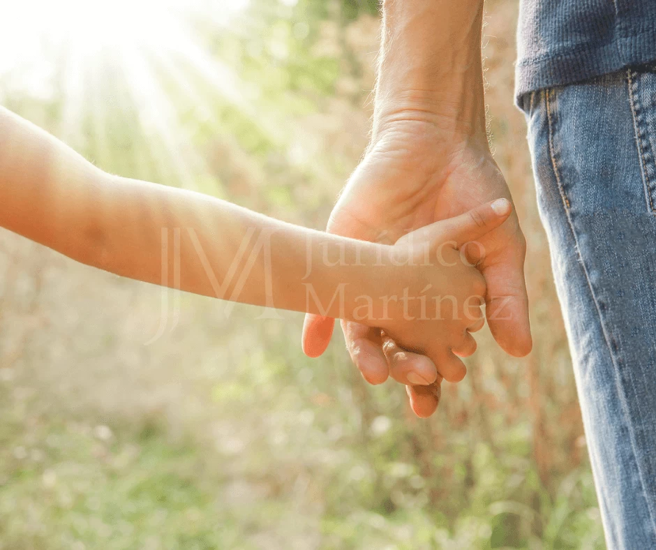 visita y convivencia